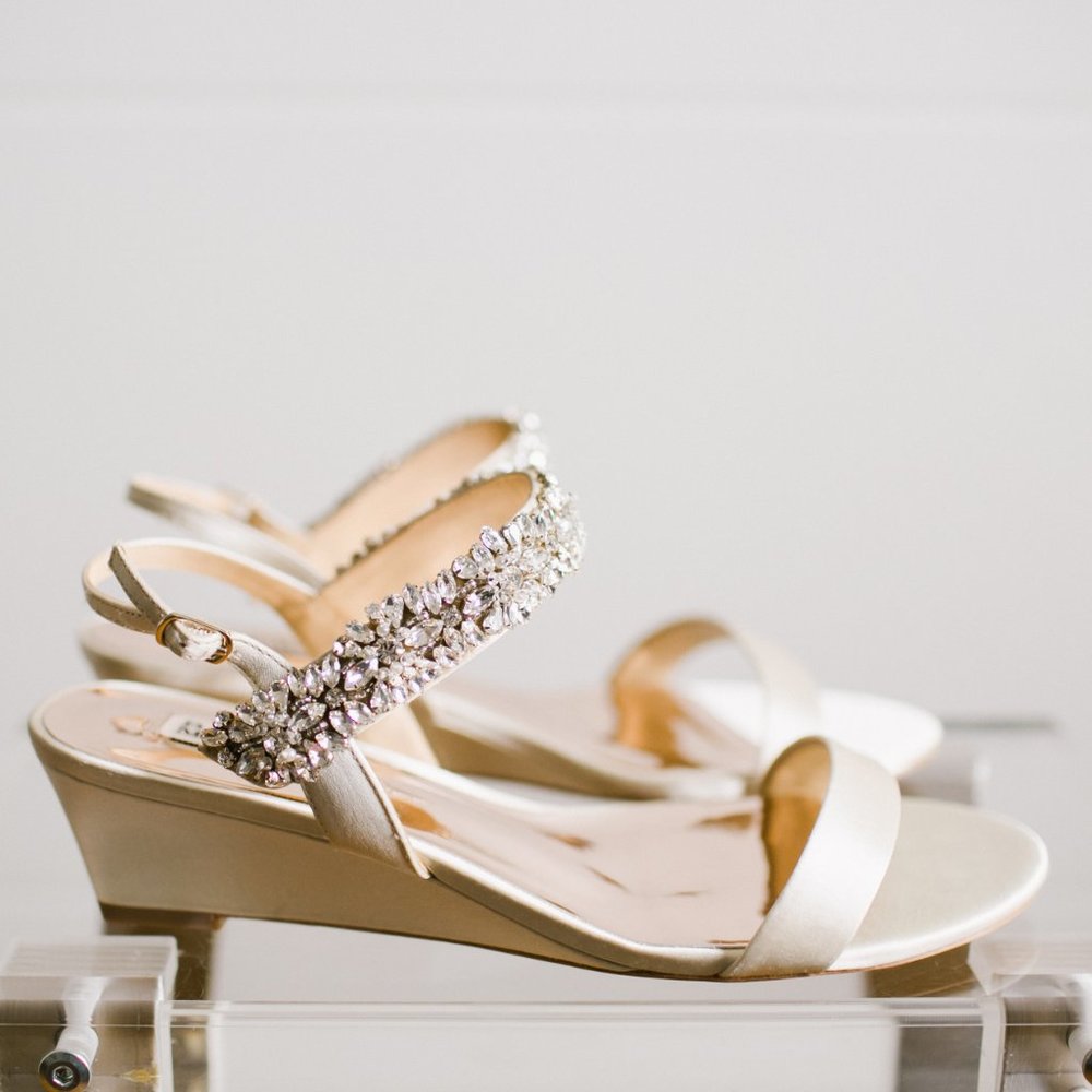 Badgley Mischka Women's Larisa Wedge Sandal 9.5